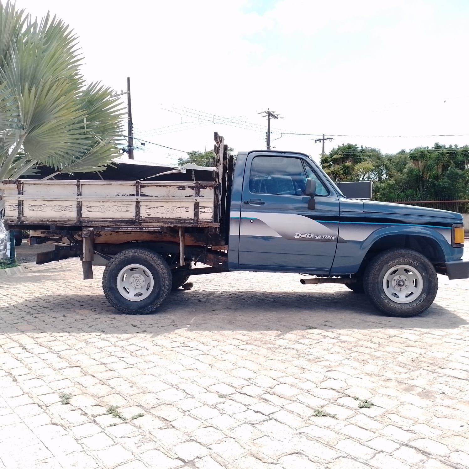 Chevrolet D20 Deluxe CS Diesel CARROCERIA DE MADEIRA - foto 8